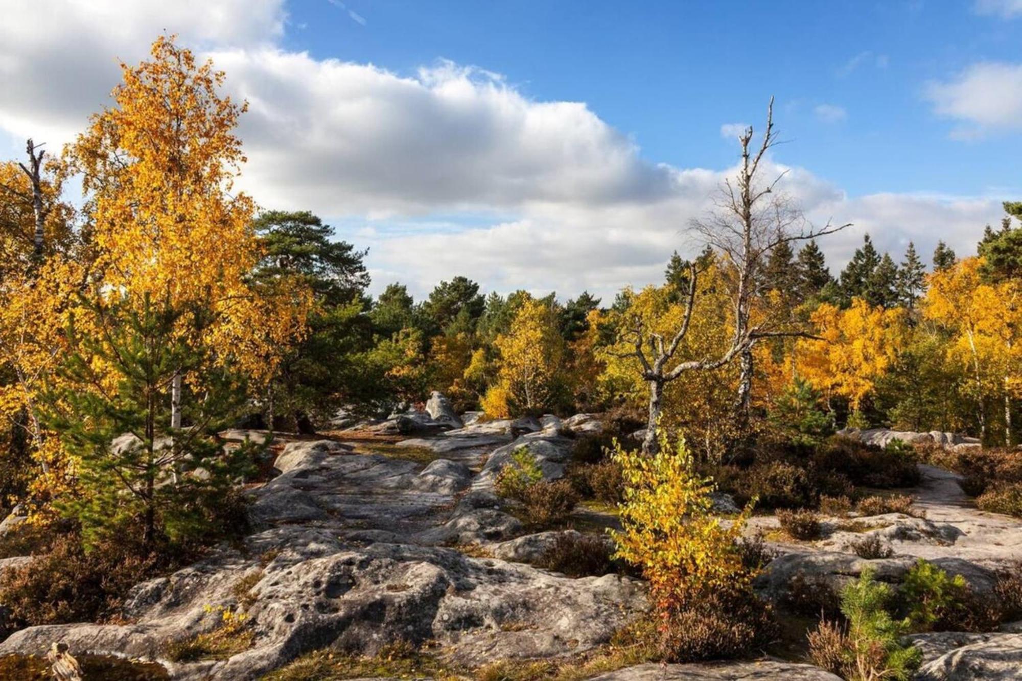 Fontainebleau Rue Grande - Chez Alexisアパートメント エクステリア 写真